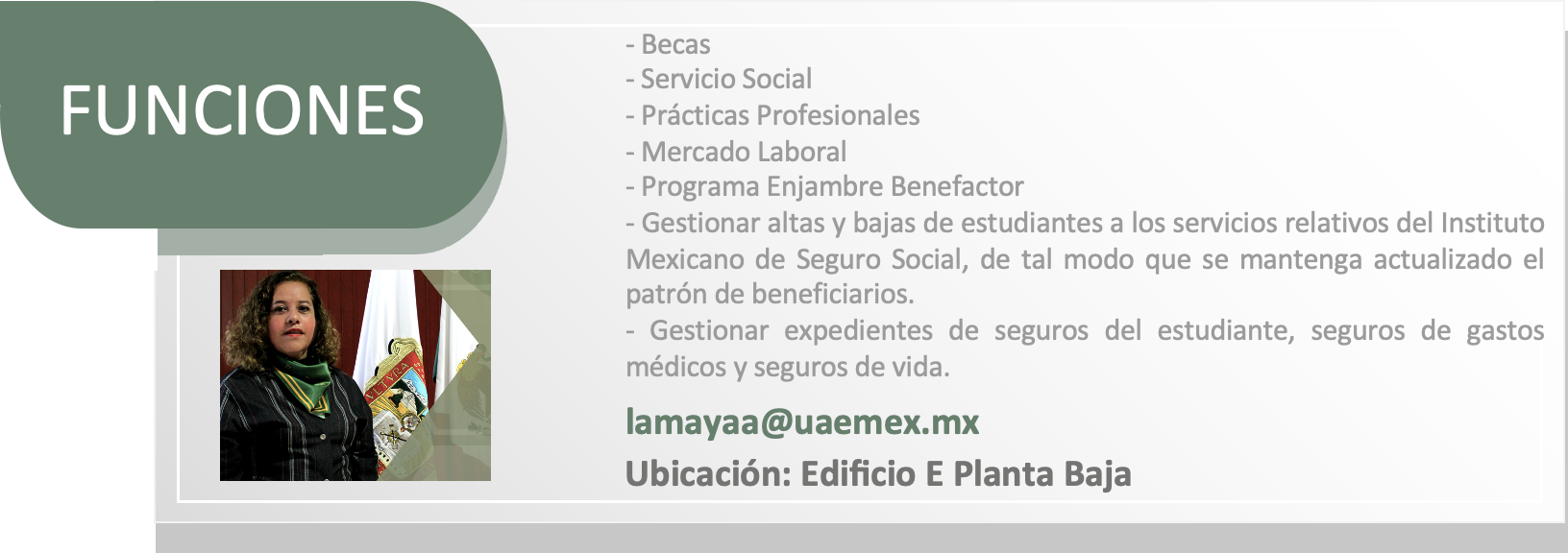 imagen-19.png