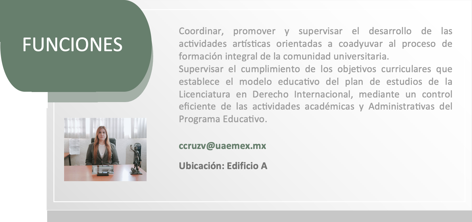imagen-25.png